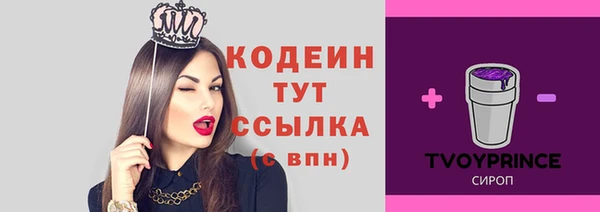 мдпв Вязьма