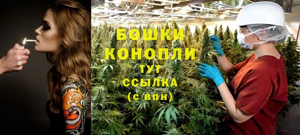 мдпв Вязьма