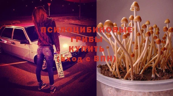 кокаин перу Вяземский