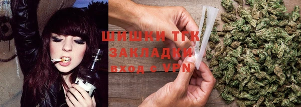 мдпв Вязьма